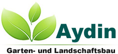 Logo of website