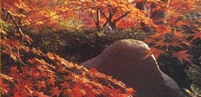 Zen-Garten mit Naturstein